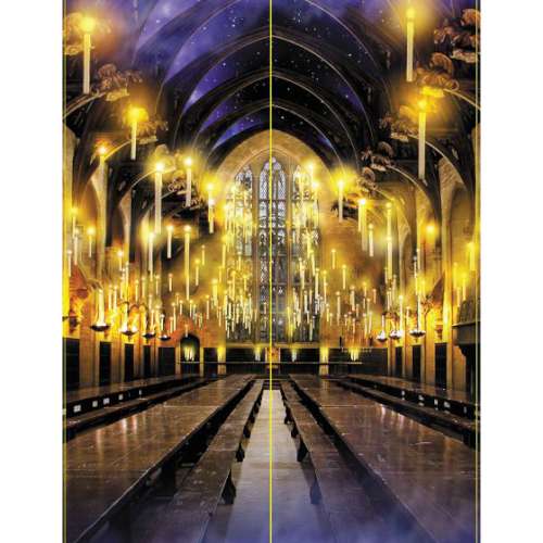 Harry Potter Scene Setter